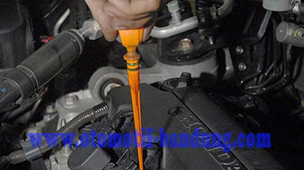 cek-level-oli-secara-berkala