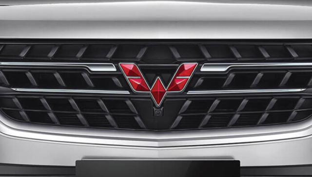 aggresive-front-grille