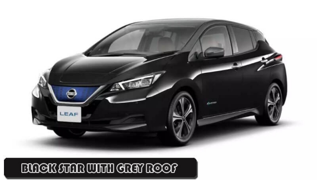 Black-Star-with-Grey-Roof