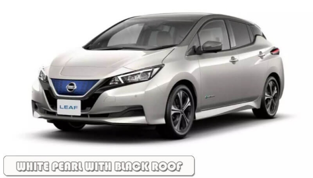 White-Pearl-With-Black-Roof